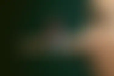 Laojia, Old Friends, and an Oscar