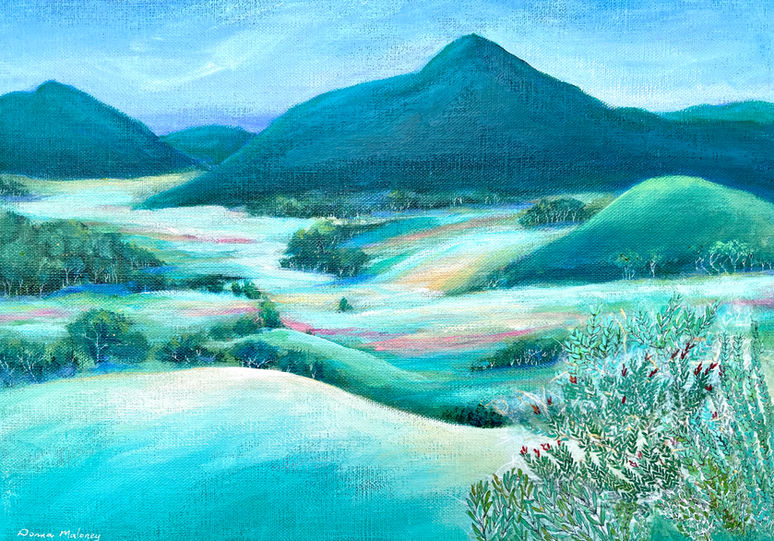 Scenic Rim 5