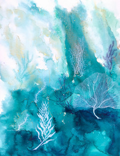 Coral Reef 10.