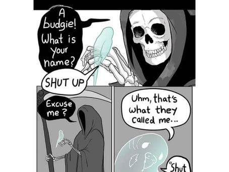 Comic by Jenny Jinya explaining the consequences of bad bird ownership