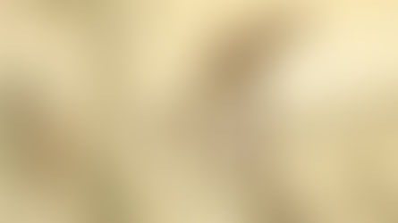 Anthroposophisches Hase- und Igelspiel