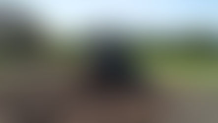 LANDWIRTSCHAFT UND WALDORFSCHULE