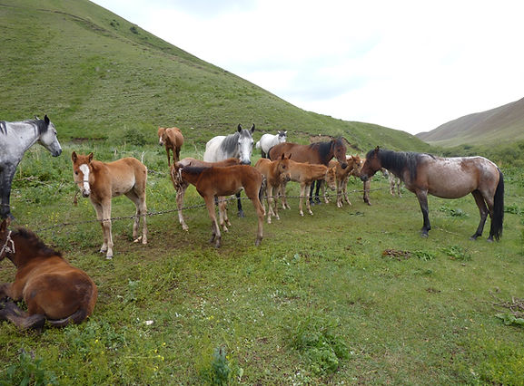 P1100067.JPG