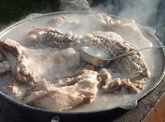 P1100053.JPG