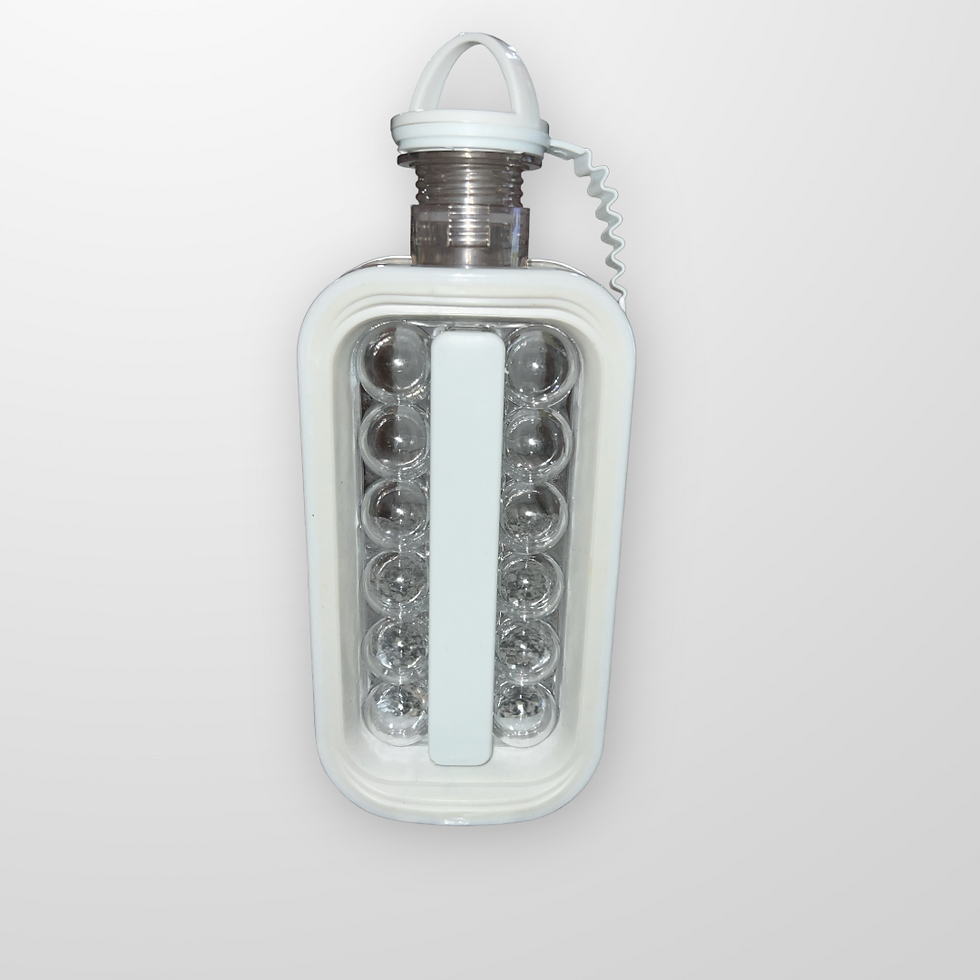Thumbnail: Portable Ice Cube Making bottle 