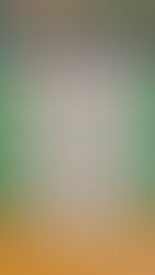 Bonney Memorial Library Annual Holiday Raffle 2025