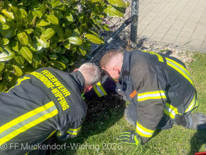 Tierrettung am 07.04.2026.