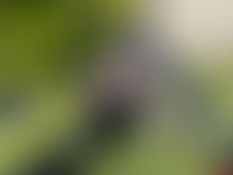 Tierrettung am 07.04.2026.