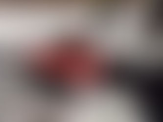 Eisrettungsübung am 12.01.2026