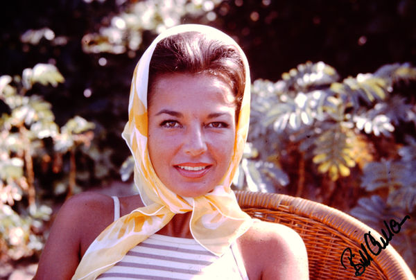 To be renamed (686) copy.jpg