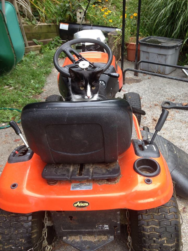 Best seat in the yard!