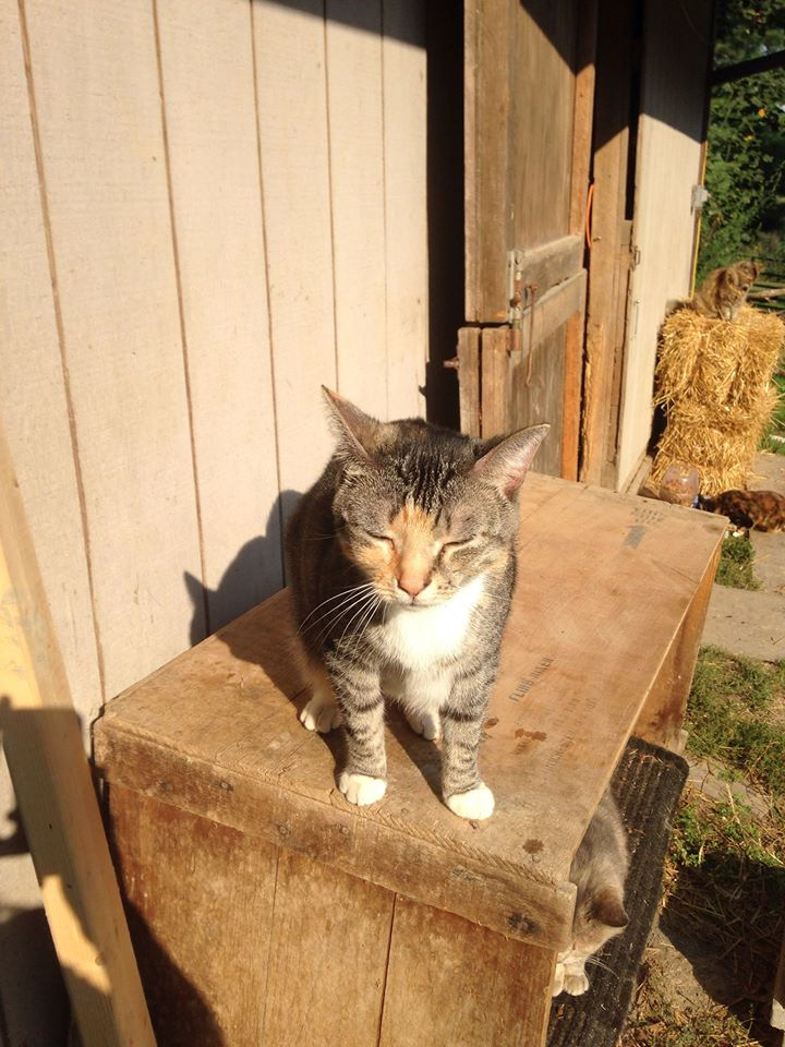 Soaking in the rays!