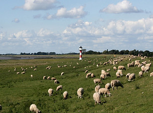 Hirtenszene