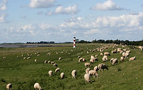 Scena pasterska