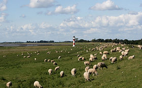 Pastoral Scene