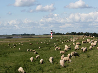 Nederland heeft geen periferie. Het heeft een blinde—beleidsvlek.