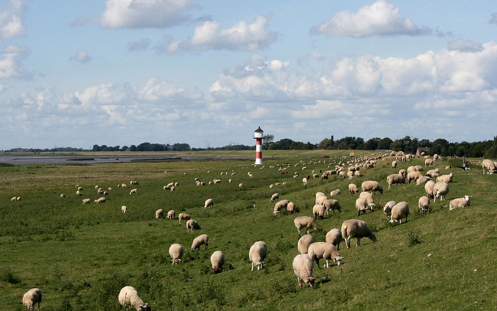 Scene Pastorale