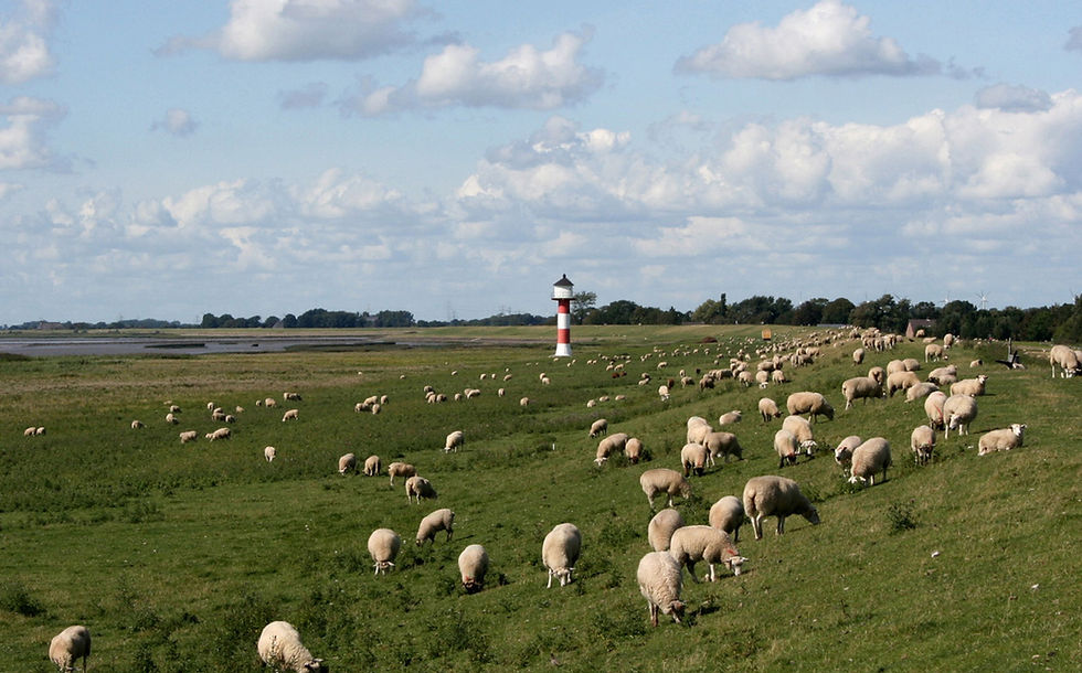 Pastoral Scene
