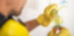 elekrabanner5.jpg