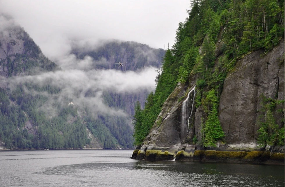 Cruises departing from the Netherlands are heading mostly to Northern Europe