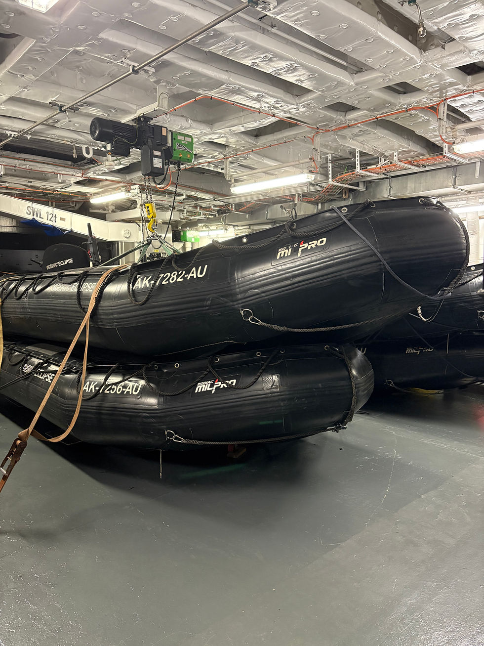 The Zodiacs inside the ship