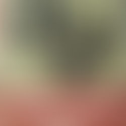 জন্মদিন ও একটি বই