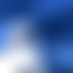 মহাসঙ্কটে বঙ্কু