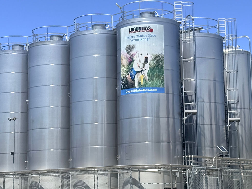 Lagunitas' total annual brewing capacity reached roughly 600,000 US barrels (~700,000 hectoliters / ~70 million liters)