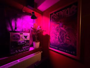 Down the Stairs and Into the Labeerynt: Gdańsk's Underground Haven for Craft Beer and Heavy Music