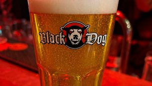 A glass of pilsner with Le Black Dog logo on it
