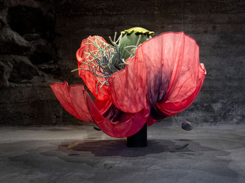 Valmuen sprer seg i hagen min
Ingeborg Kvame