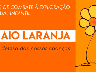 TJ/SP: Lei municipal de combate ao abuso sexual de crianças é constitucional