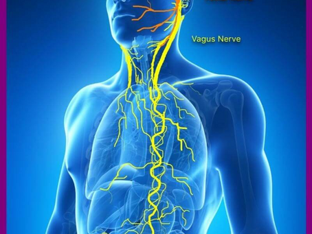 How Resetting the Vagus Nerve Can Help You Heal