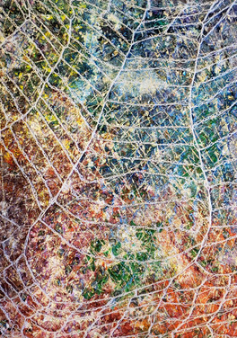 The Net