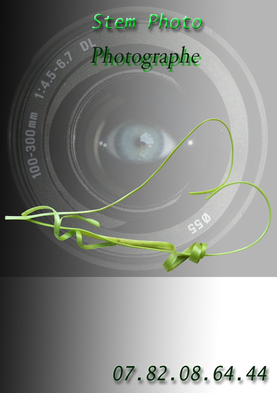 ACCUEIL stemphoto
