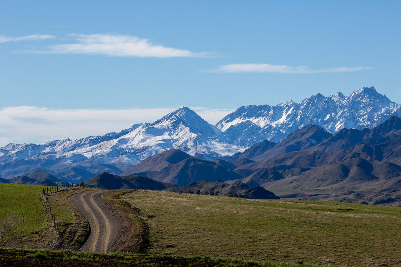 Late-Winter Pest Pressure in NZ: What’s Still Active and Why You Should Act Now