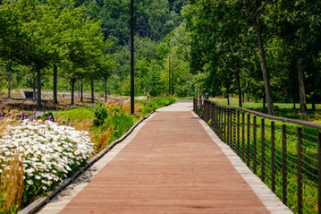 A long wooden boardwalk path with metal railings extending through a lush, green landscaped area with trees and native flowers.