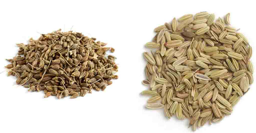 Qual a diferença entre Erva-doce e Funcho?