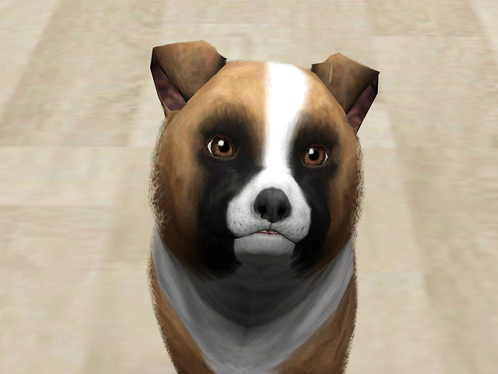Screenshot-109