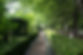 DSC00410-89.jpg
