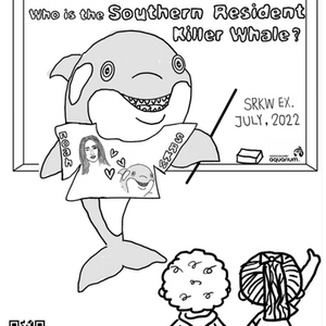The SRKW Exhibition with Noah Cyrus at the Vancouver Aquarium