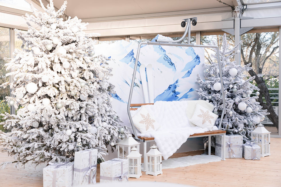 Décoration évènement hiver