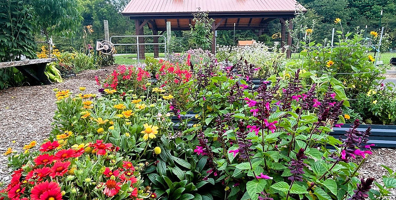 Garden shot with pavillion #2.jpeg