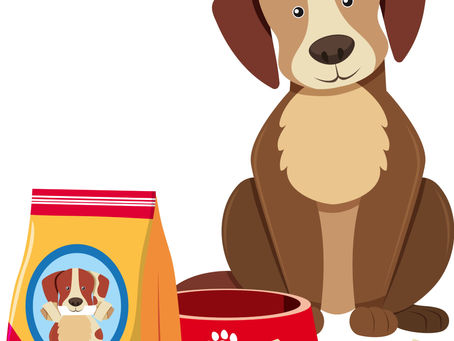 The Truth About Grain-Free Dog Food (And Why We Stopped Following That Trend)