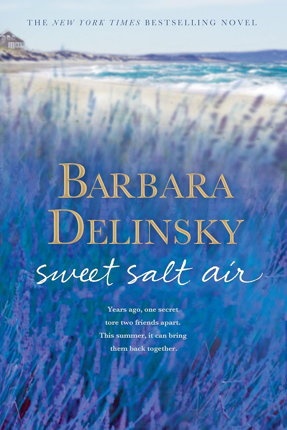 Sweet Salt Air: A Novel by Barbara Delinsky