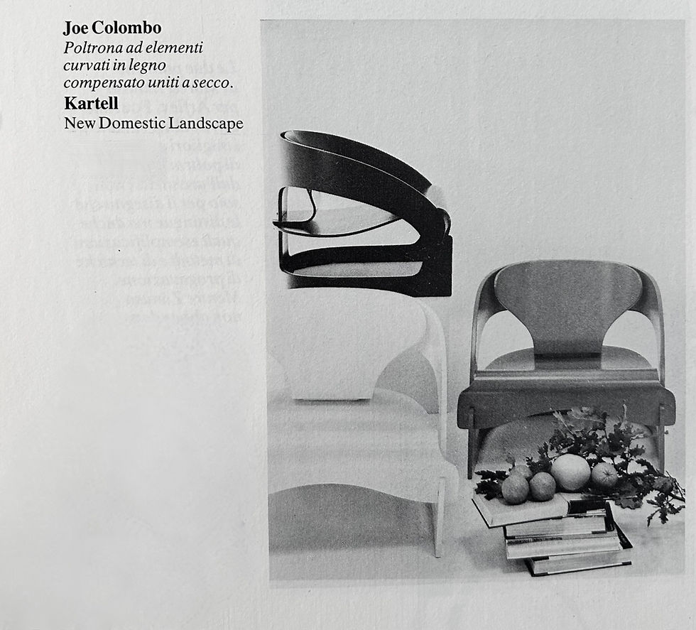 Thumbnail: Model 4801 Armchairs by Joe Colombo for Kartell, 1960s, set of 2