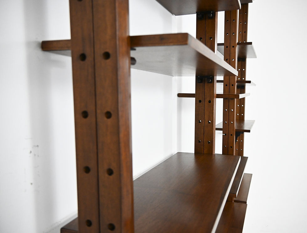 Thumbnail: Wall Unit by Leonardo Fiori for Isa Bergamo, 1960s