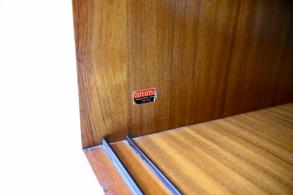 Thumbnail: Wall Unit "Extenso" by Amma Torino, 1960s
