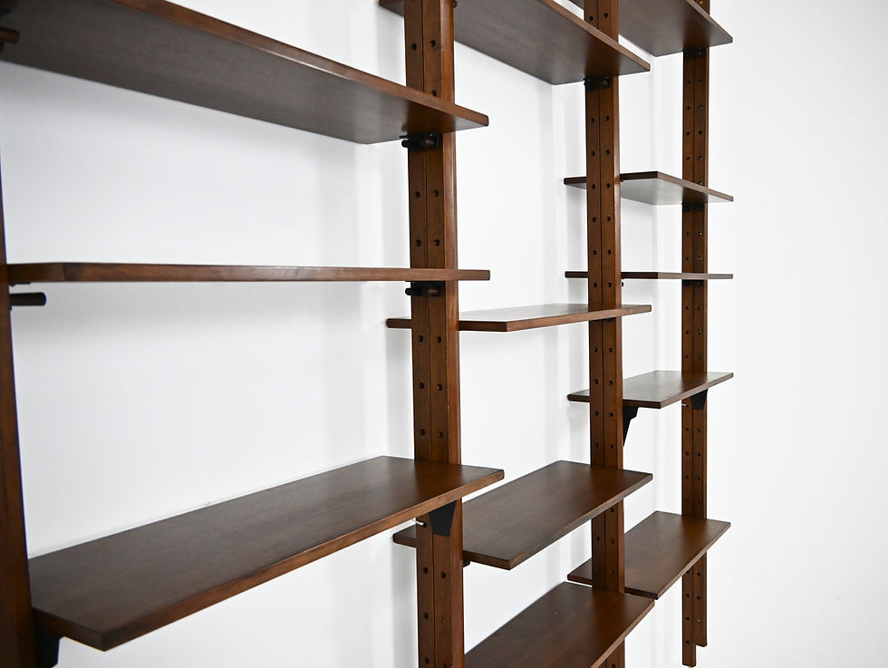 Thumbnail: Wall Unit by Leonardo Fiori for Isa Bergamo, 1960s