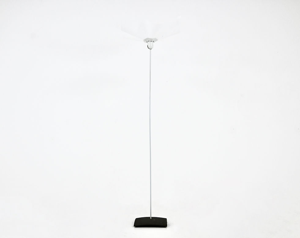 Area 160  Floor Lamp by Mario Bellini for Artemide, 1960s